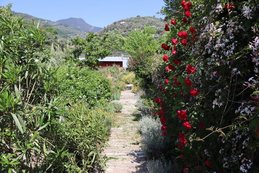 Dolceacqua liguria country house for sale le 45017 026