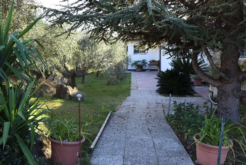 Vallebona liguria villa for sale le 45051 116