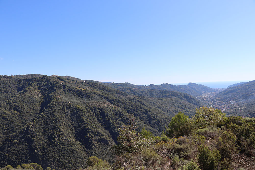 Dolceacqua-Liguria-plot-for-sale-le-46043-107