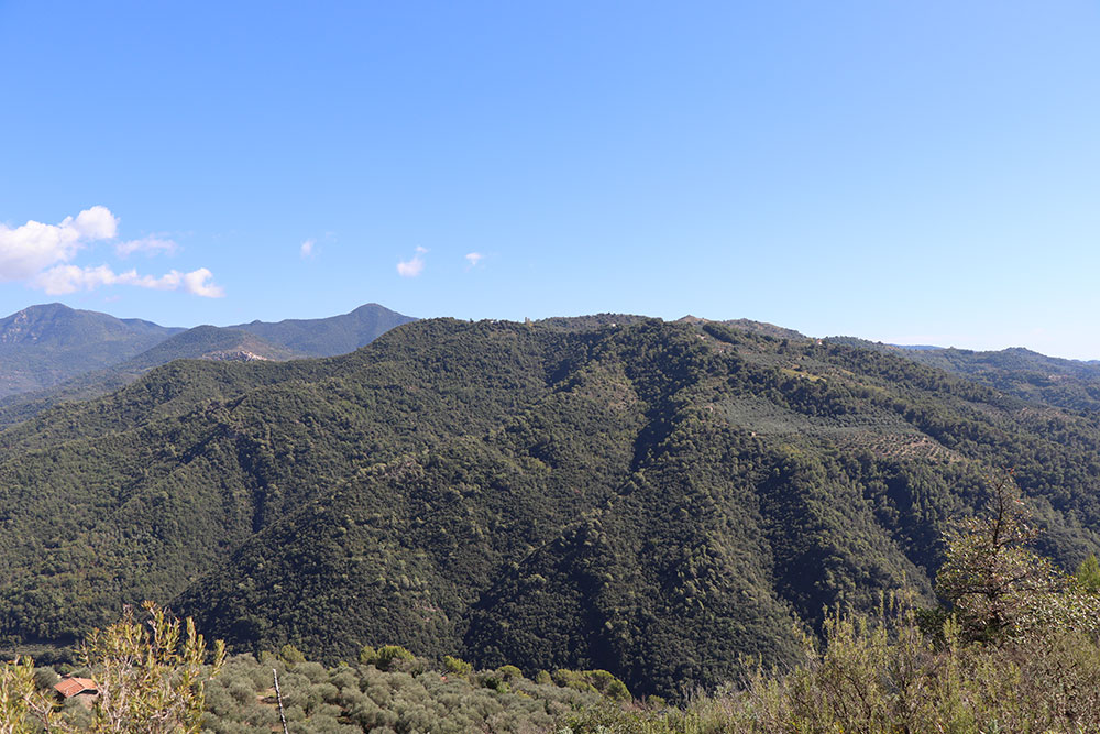 Dolceacqua-Liguria-plot-for-sale-le-46043-109