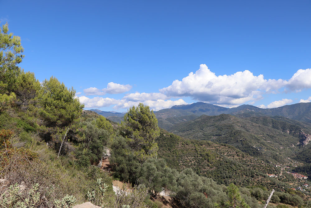 Dolceacqua-Liguria-plot-for-sale-le-46043-110