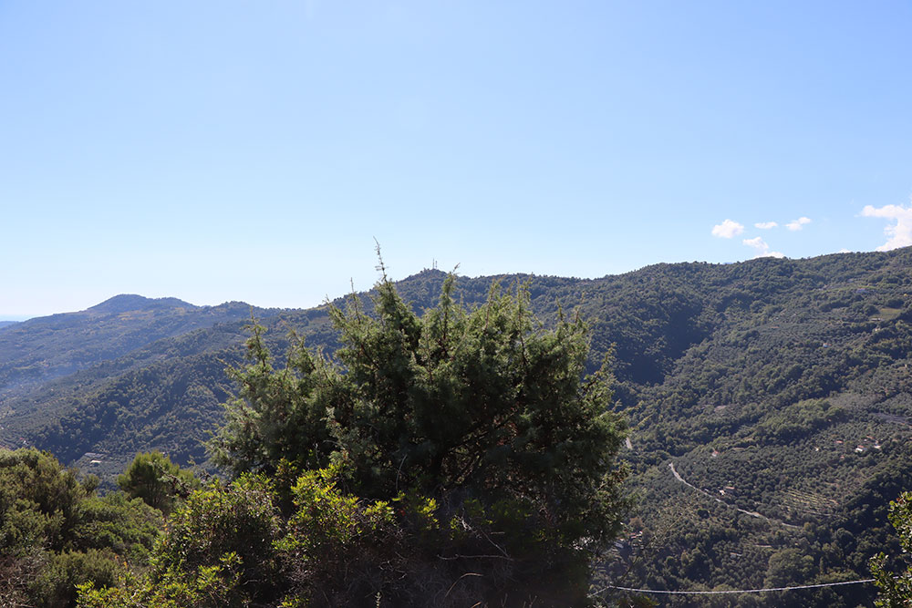 Dolceacqua-Liguria-plot-for-sale-le-46043-113