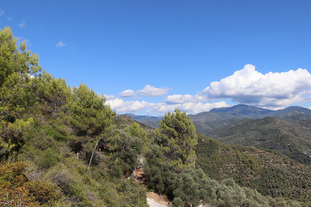 Dolceacqua-Liguria-plot-for-sale-le-46043-116