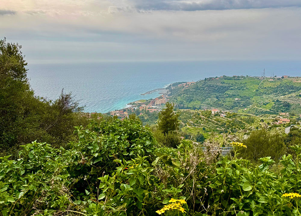 Bordighera-Liguria-villa-for-sale-le-46048-158