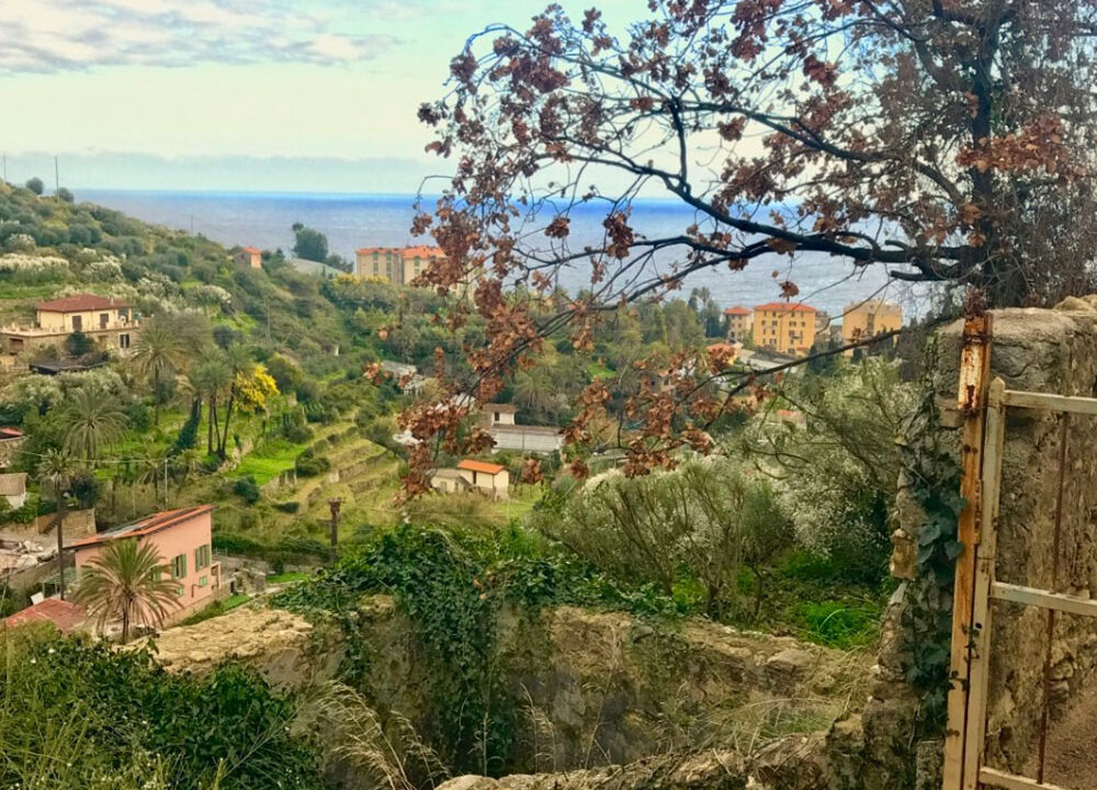 Bordighera-Liguria-villa-for-sale-le-46048-159