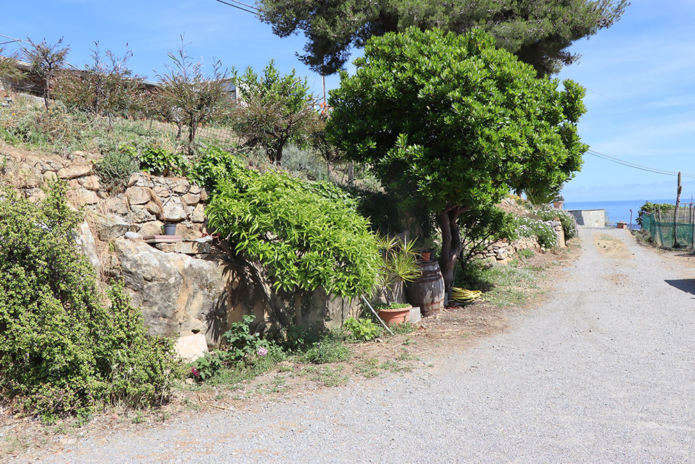 Bordighera-Liguria-villa-for-sale-le-46049-106