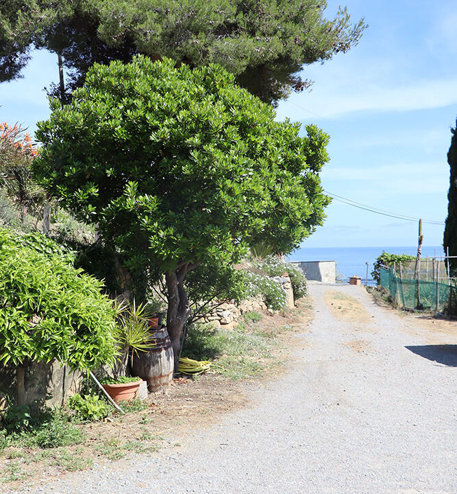 Bordighera-Liguria-villa-for-sale-le-46049-121