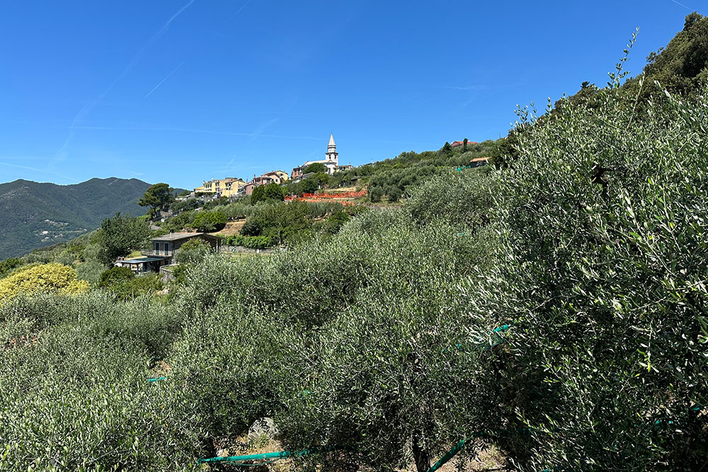 Moneglia-Liguria-villa-for-sale-le-46050-123