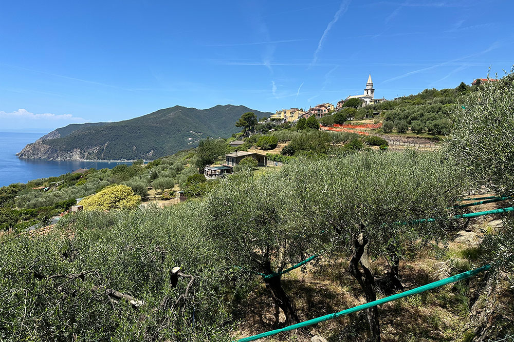 Moneglia-Liguria-villa-for-sale-le-46050-127