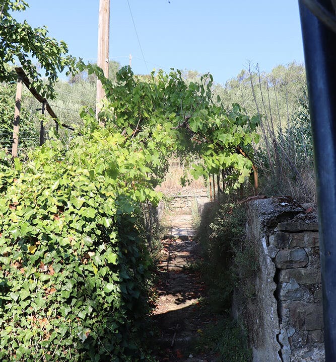 Apricale-Liguria-villa-for-sale-le-46052-142